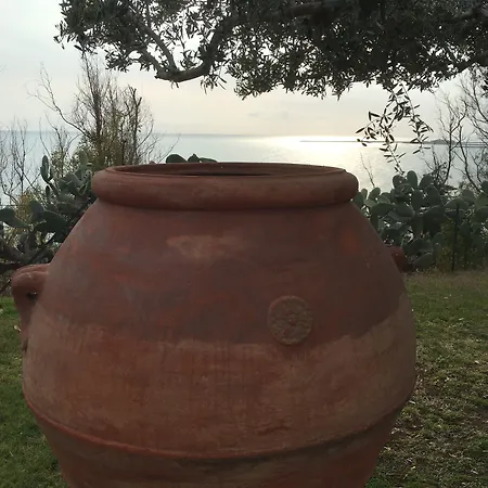 Panzió Casa Realia 4*