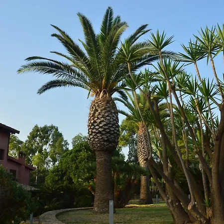 Casa Realia Panzió